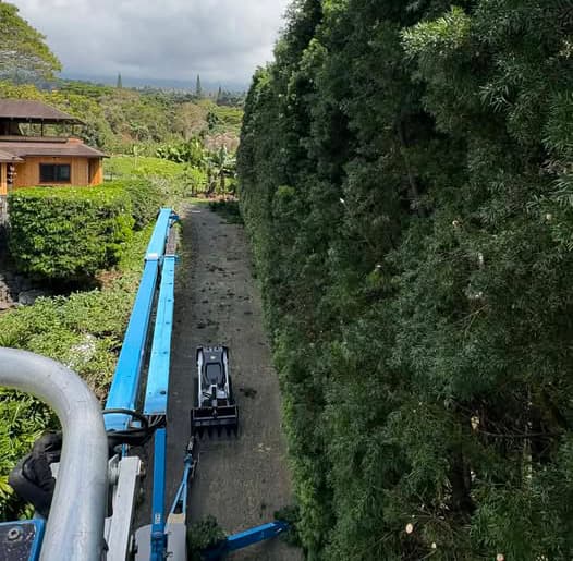 Kevin operating heavy equipment on a Hawaii land clearing project